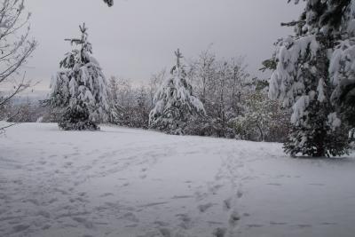 Прикрепленное изображение: A58-2 DSC00960.JPG